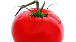 Разница между томатом и помидором Определения бытовые и научные